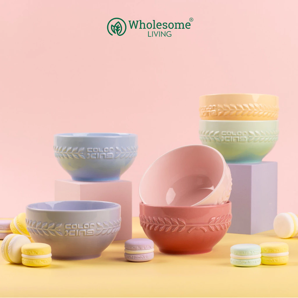 [Set of 6] Color King LUXE Macaron Series Ceramic Bowl 4.5“ 400ML