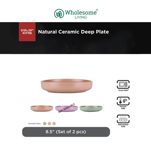 [Set of 2] Color King Luno Collection 8.5" Deep Plate Set